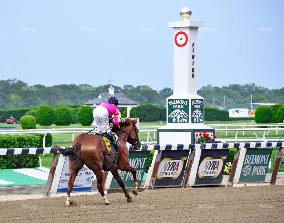 Big Business wins at Belmont. Junior Alvarez guides Big Business to the Belmont Park finish line. 
zazzle.com/Fleetphoto 