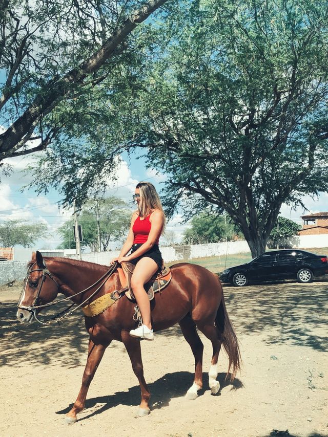Horse friend 