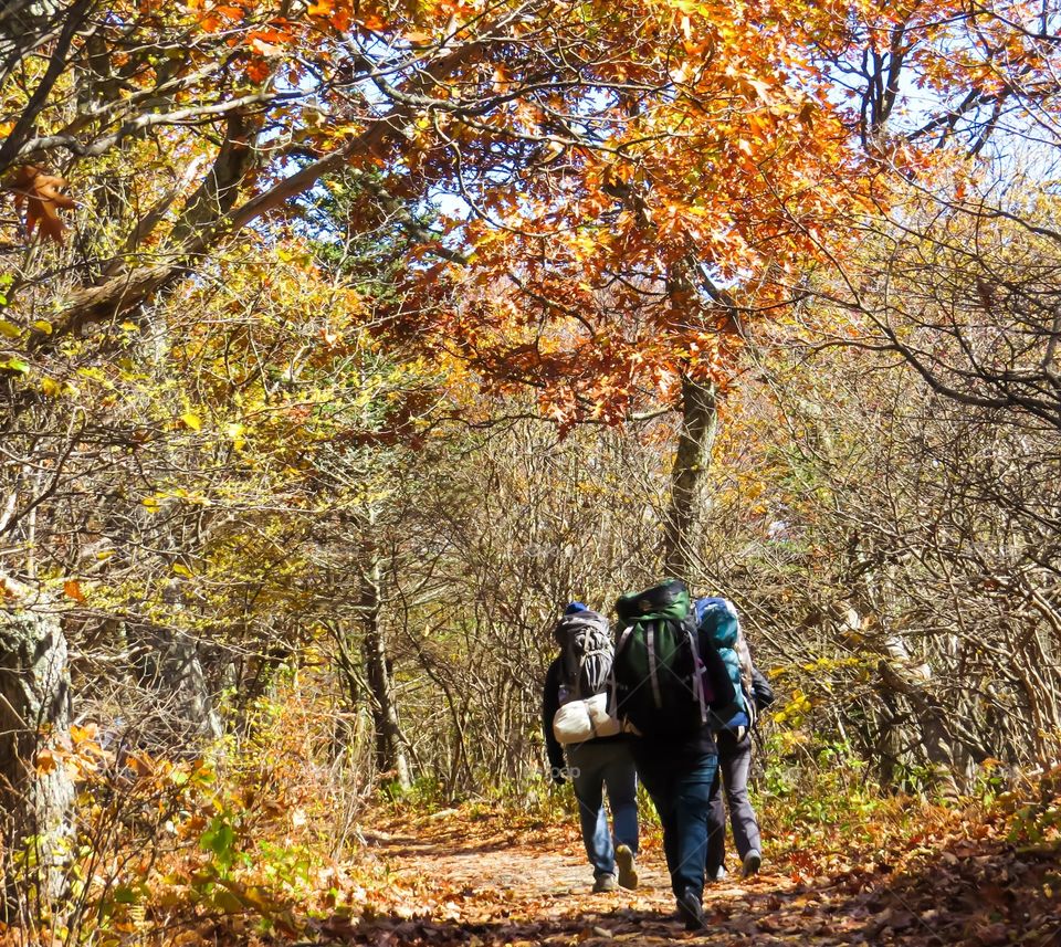 Backpacking in Autumn