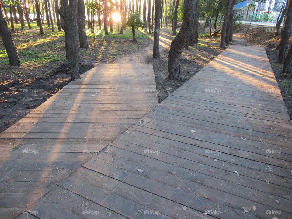 the sun's rays illuminate the trees and paths in the park