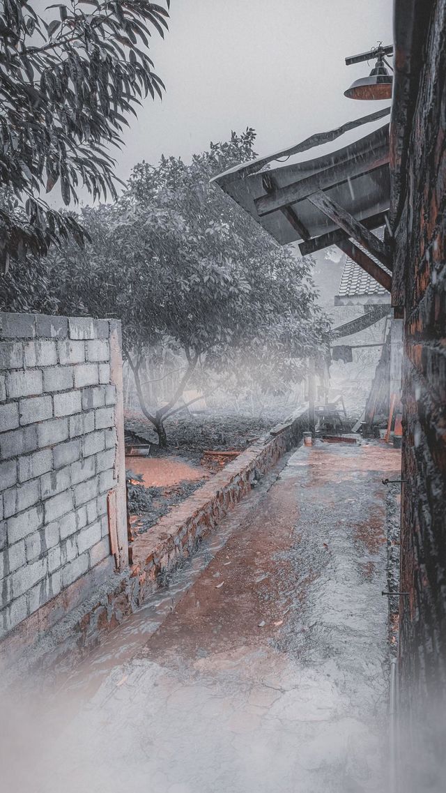 Heavy rain fell on a narrow village alley, with the plants and trees drenched, the surroundings became foggy
