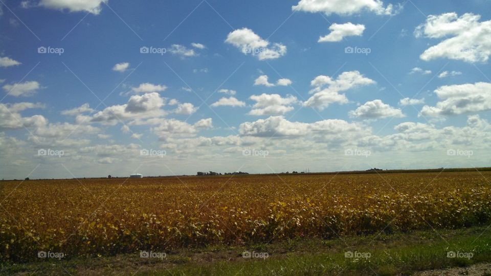 Beans and Clouds