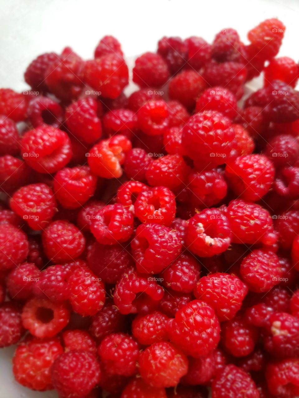 raspberry