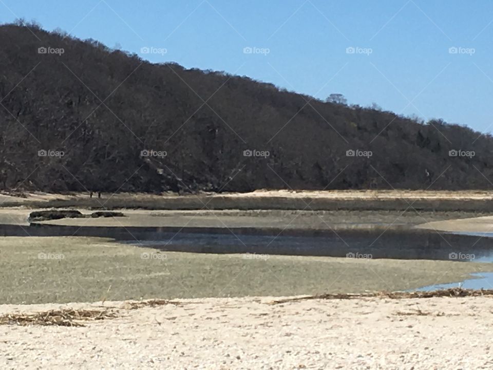 Gorgeous shoreline on the beach during low tide.