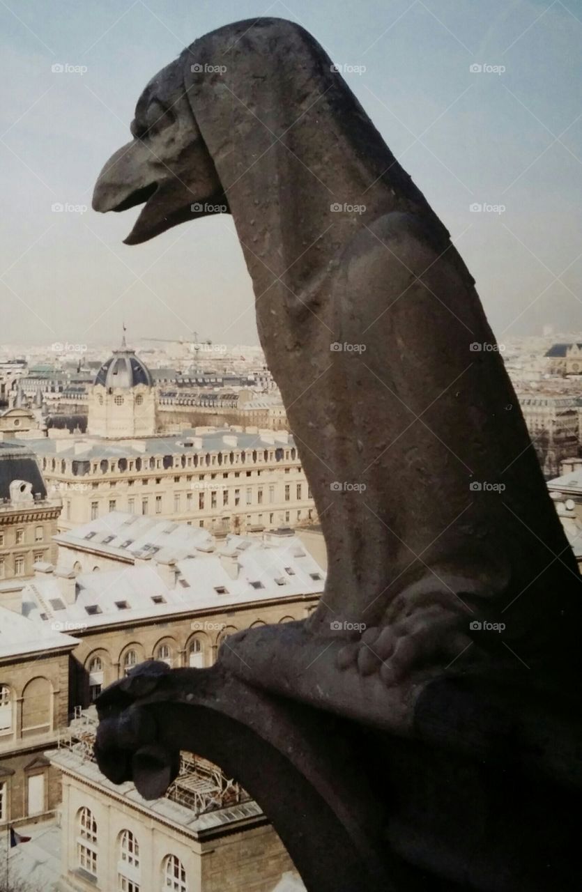 Paris France and Gargoyle