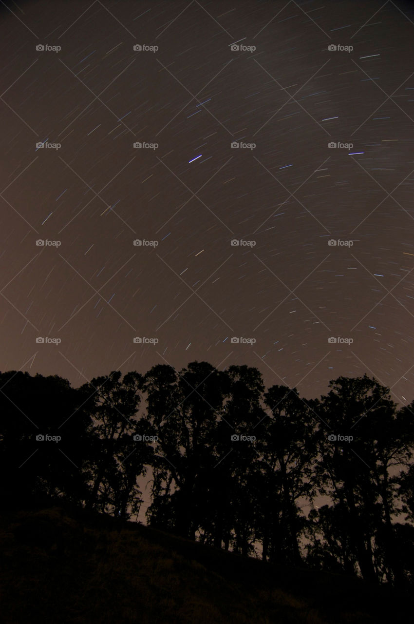 sky italy trees night by stephenkirsh