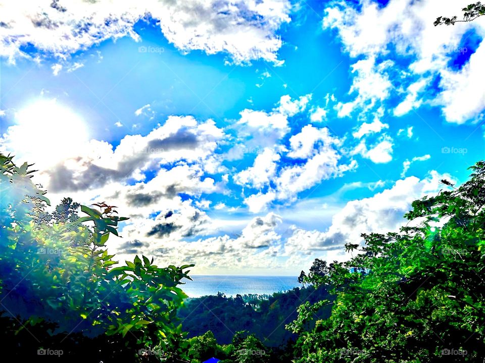 Beautiful sky and trees AMR Wozko