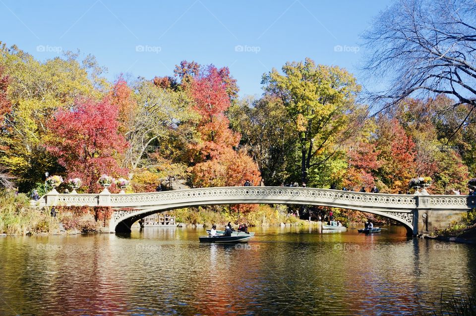 Dubbed the crown jewel of Central Park, Bow Bridges lightly swooping 'archer's bow swoops gently over The Lake. The surrounding is a kaleidoscope of vibrant fall colors.