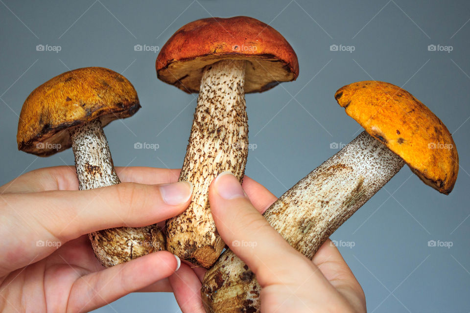 Close-up of person's hand holding mushroom