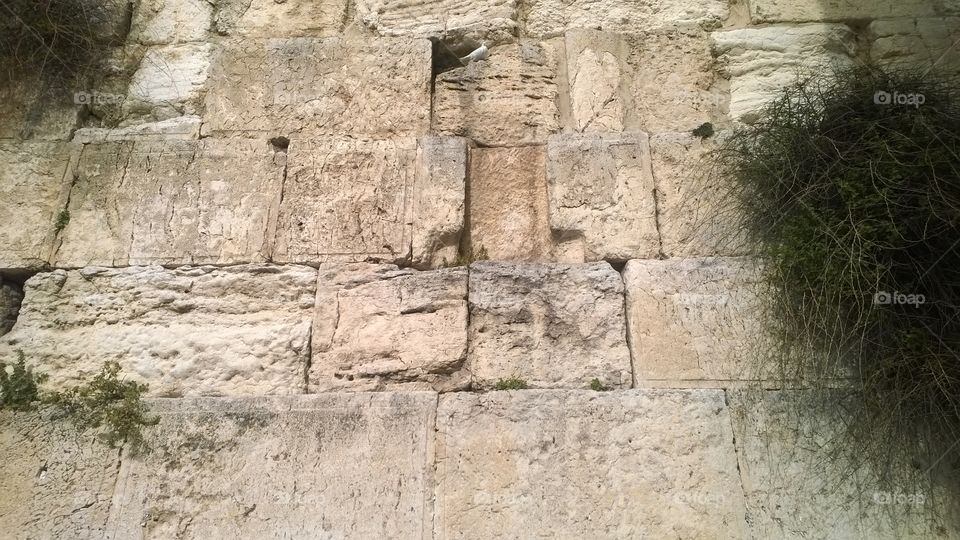 wailing wall Jerusalem