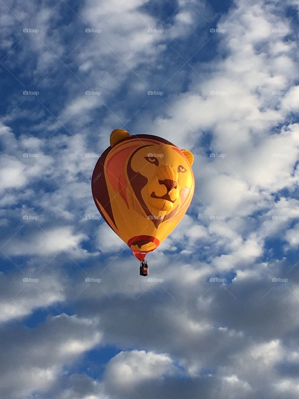 Lion Hot Air Balloon 
