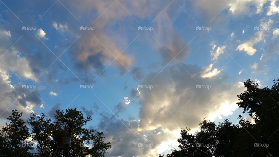 clouds and trees