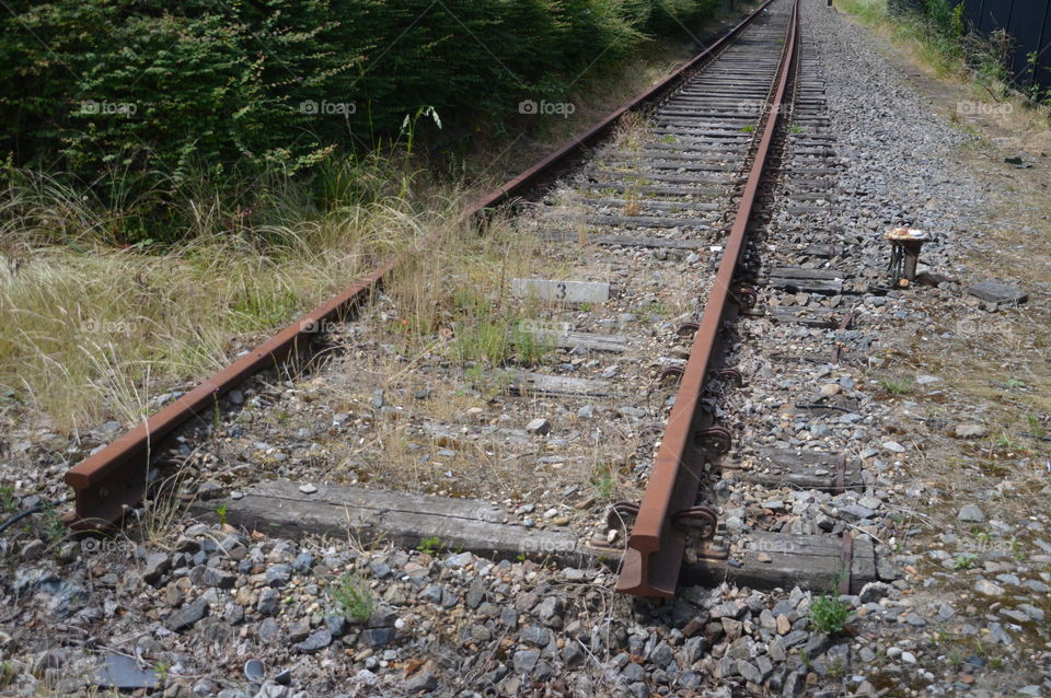 Empty Railroad Track