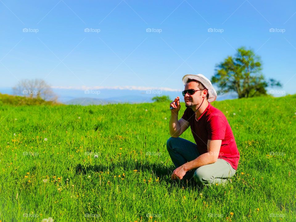 Green meadows of spring