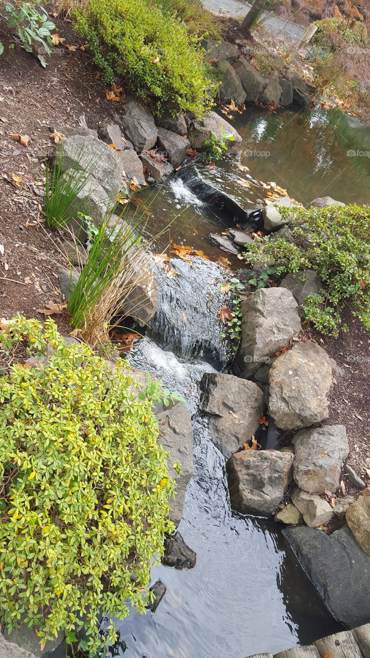 garden stream
