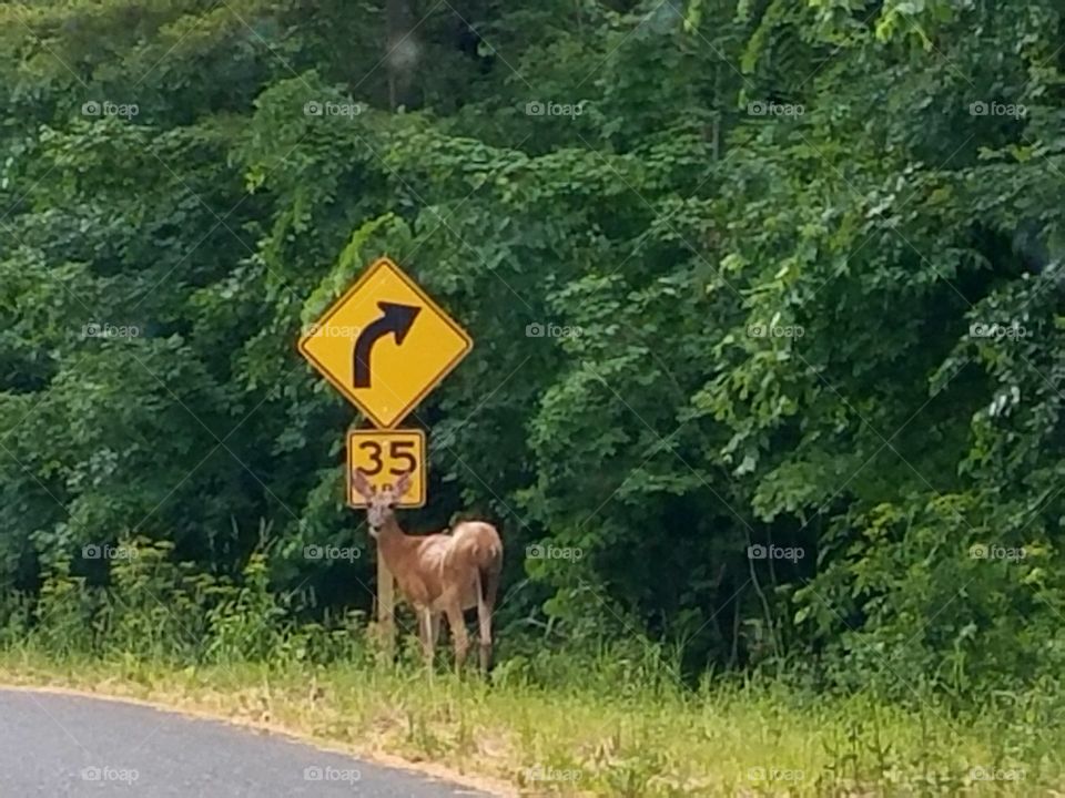 Driving the Back Roads and enjoying everything around us