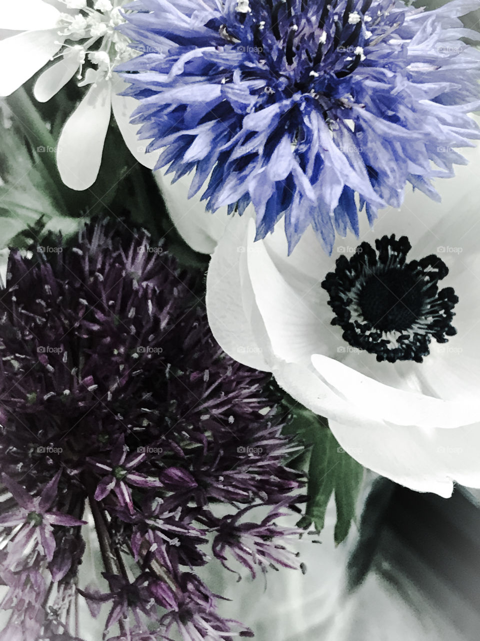 Bouquet of spring flowers 