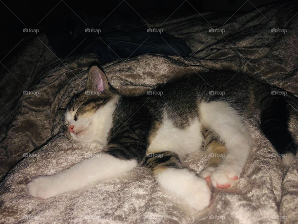 Mmmmm I’ll just take a little nap here 😴