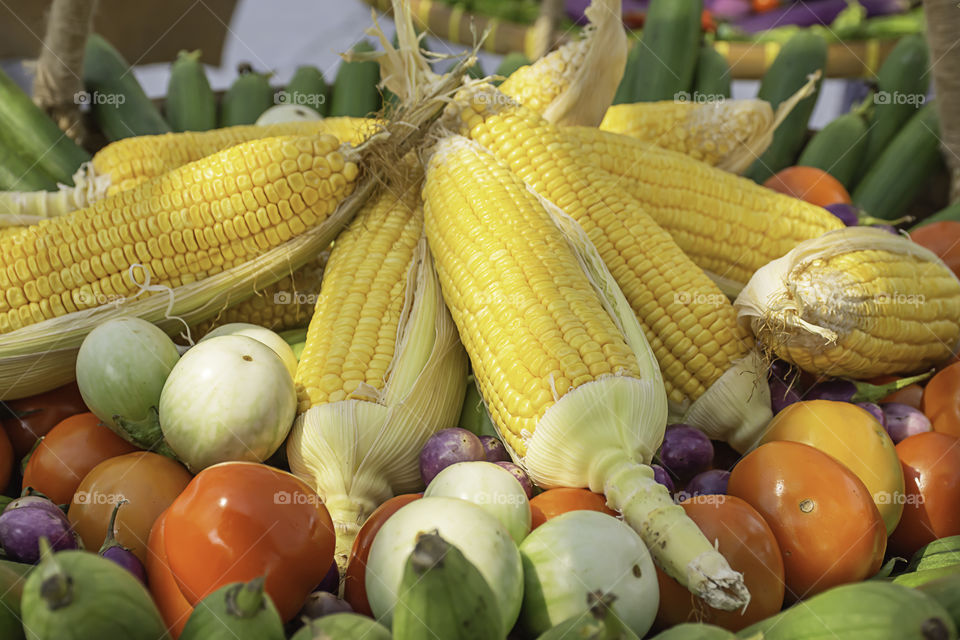 Tomato and corn The native vegetation of Thailand