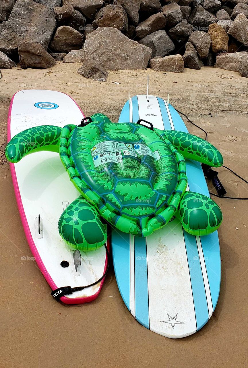 Surfin' Turtle