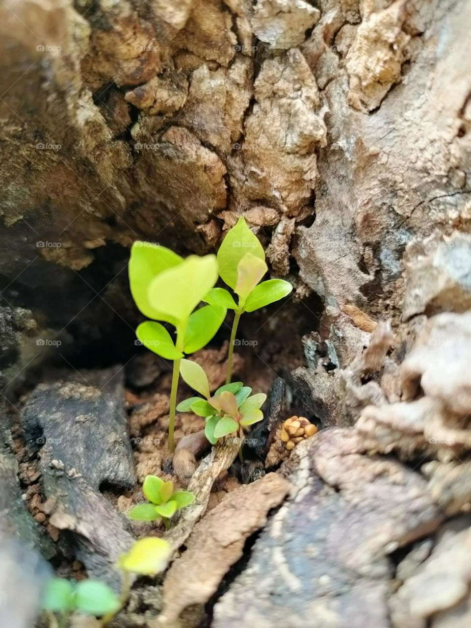 Don't give up, you're loved.