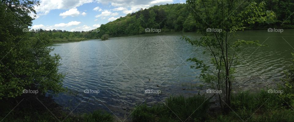 A little panoramic of the lake next to the hiking trail we were on in the Bankhead forest. 