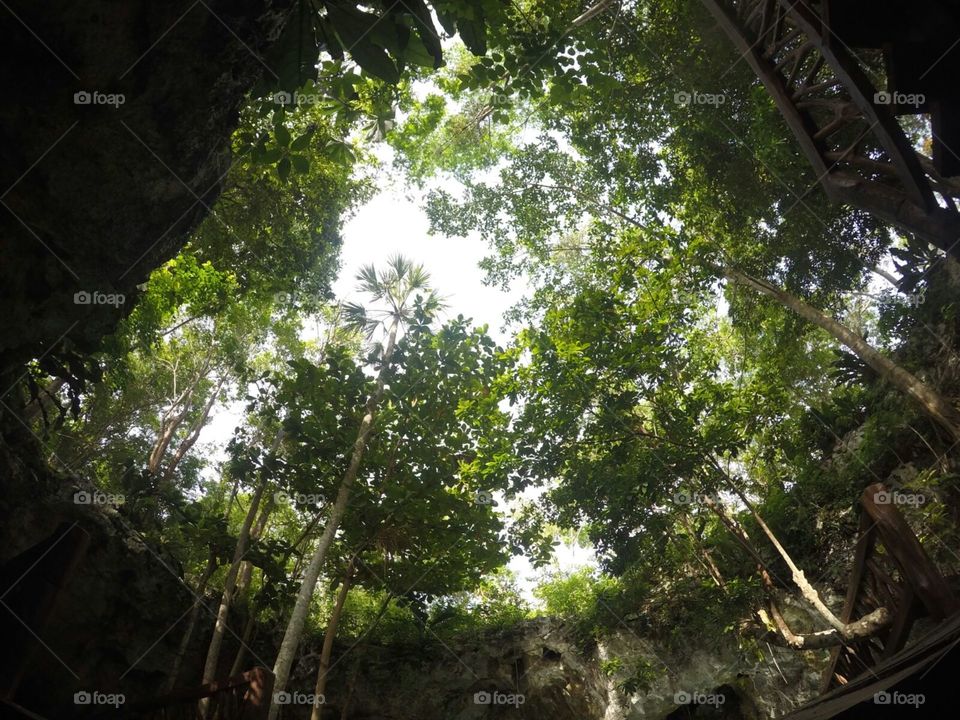 Fish-eye view from a Cenote in Mexico