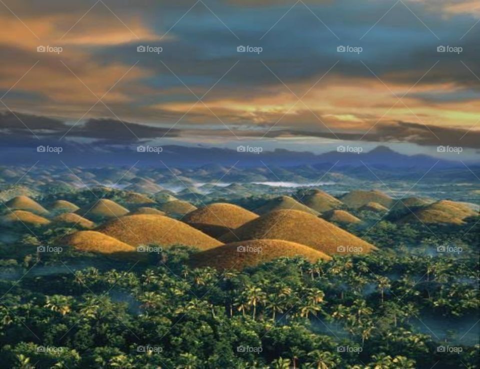 Chocolate Hills