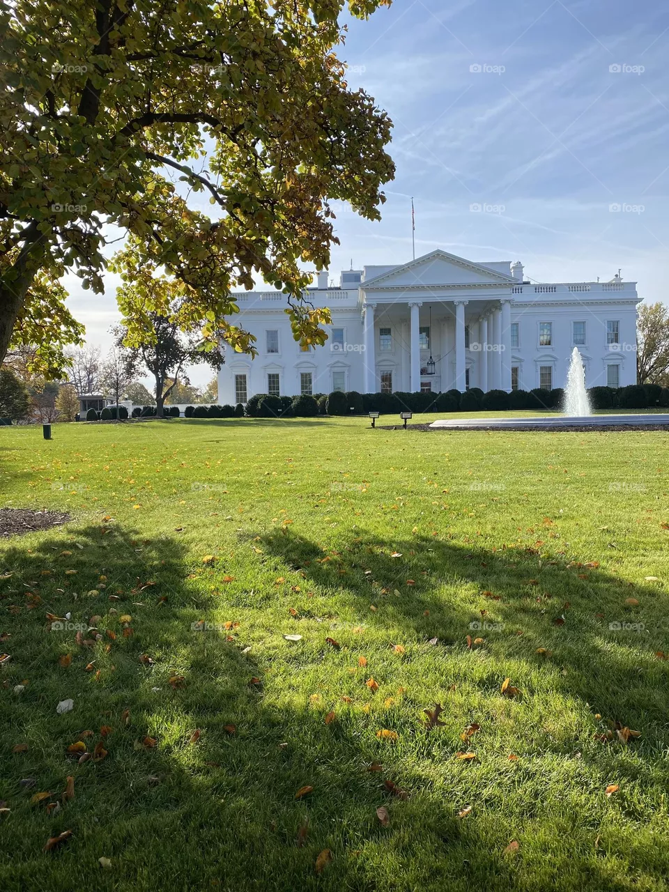 The White House 