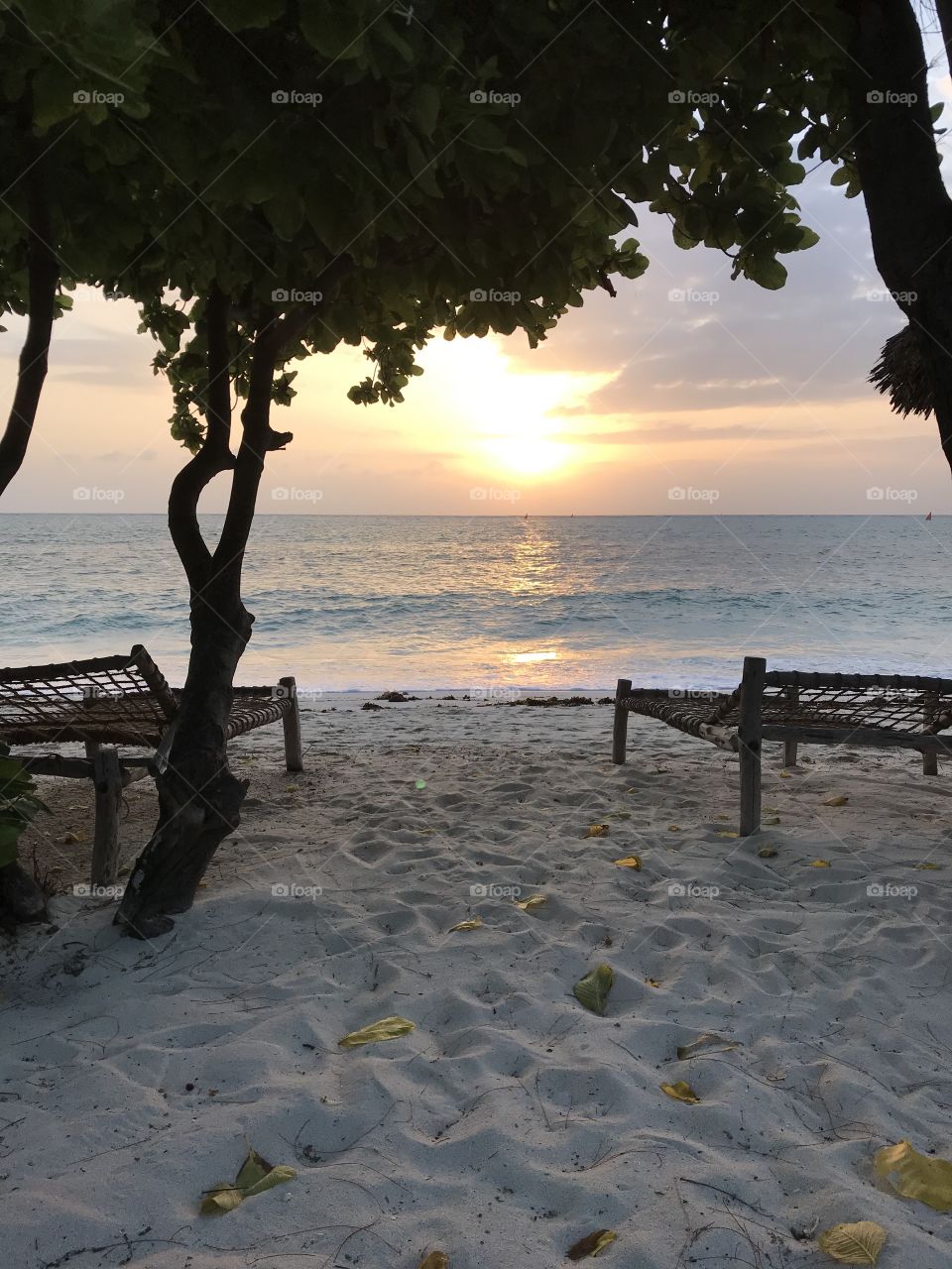 Two beach chairs in sunset 