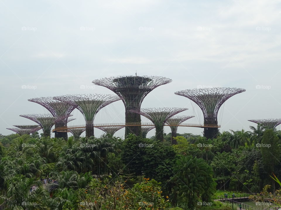 OCBC SKYWAY Garden by the bay Singapore