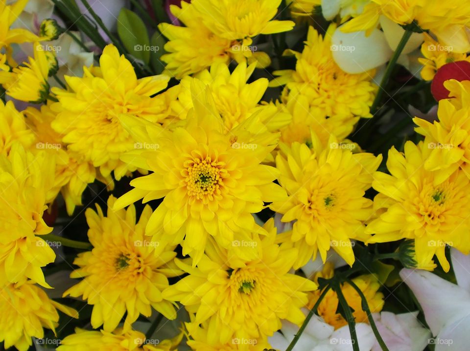 Yellow flowers bouquet