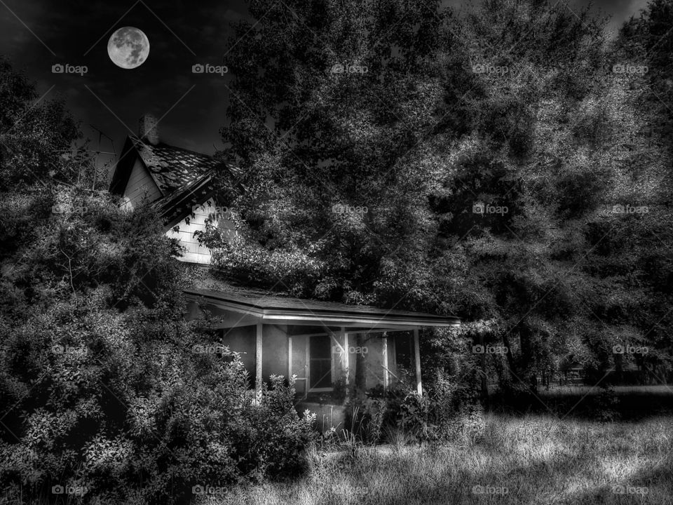 It’s about midnight and she wants to unleash her love- but- she’s a witch...