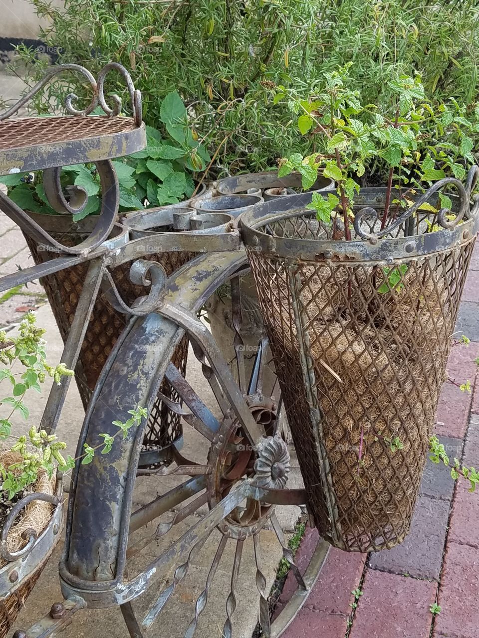 Bicycle planter