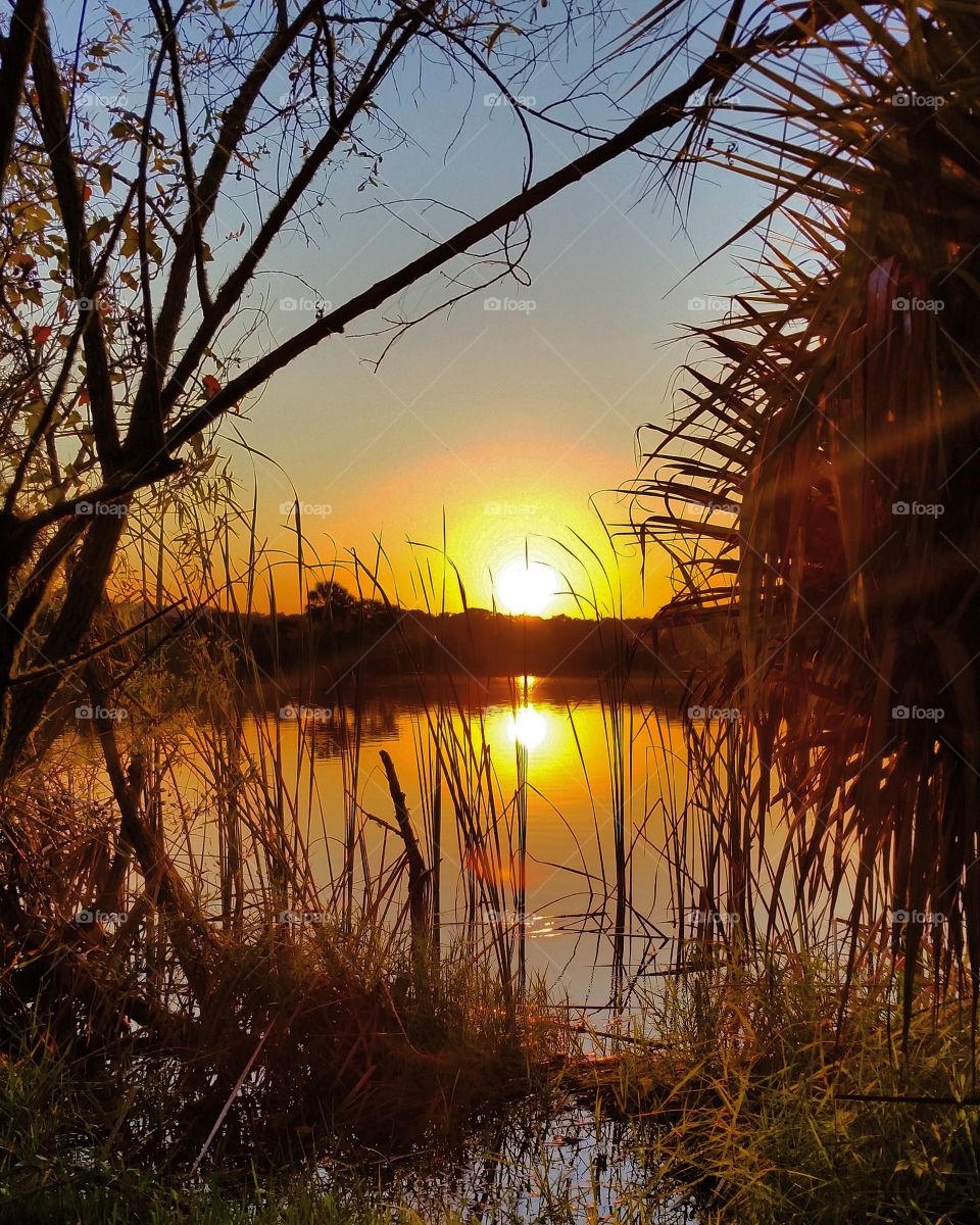 Sunset Lakeside Reflection