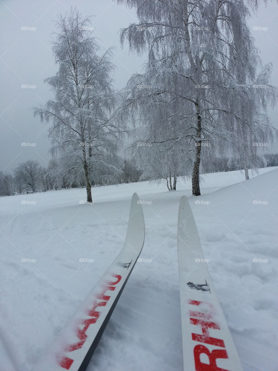 Skiing