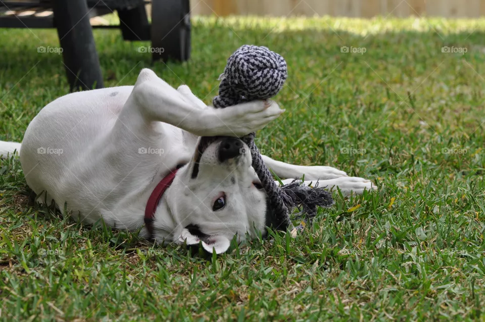 Jugando 