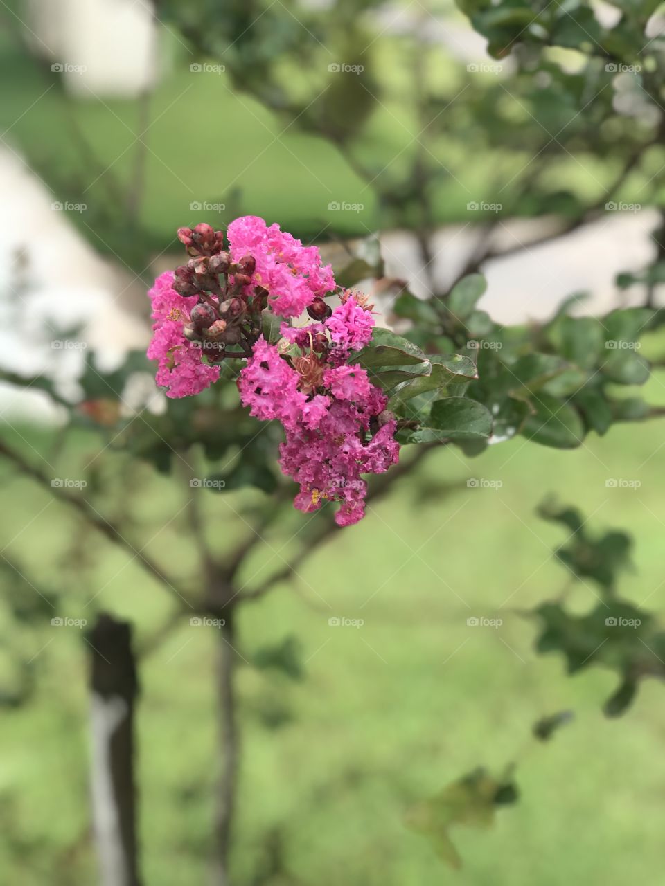 Some snaps near the highways condômino