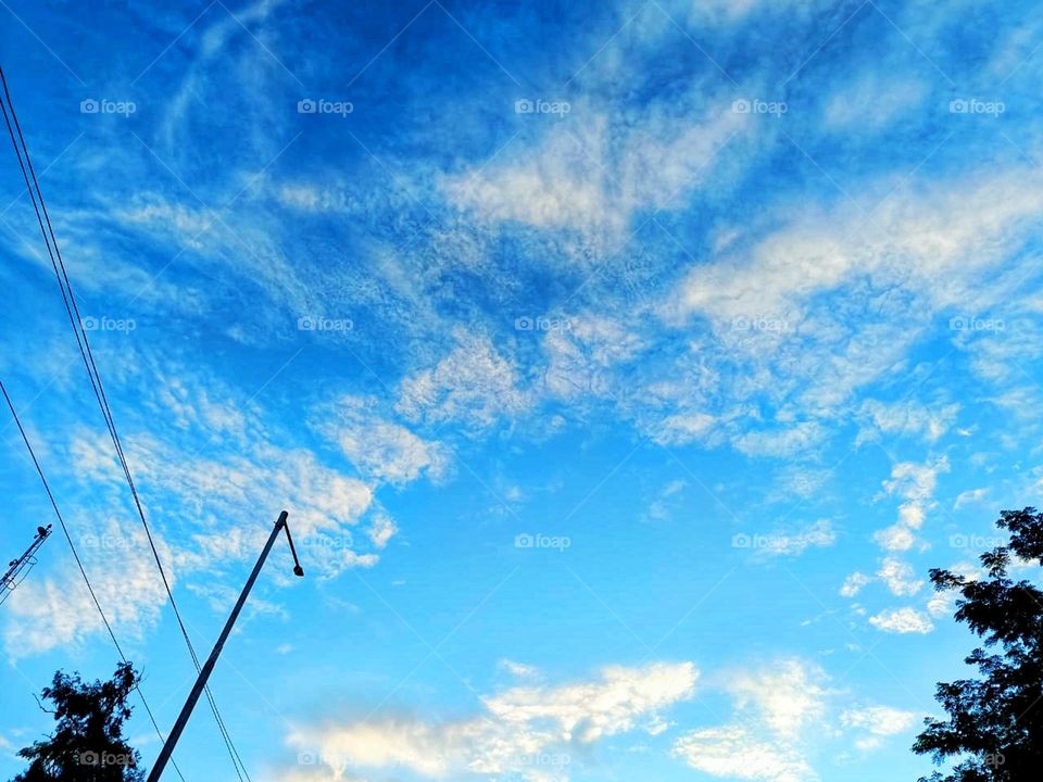 The white flowers on the bush look so pretty! Are those flowers in your garden too? Your garden must be so colourful and lively with all these beautiful blooms! 🌿🌼