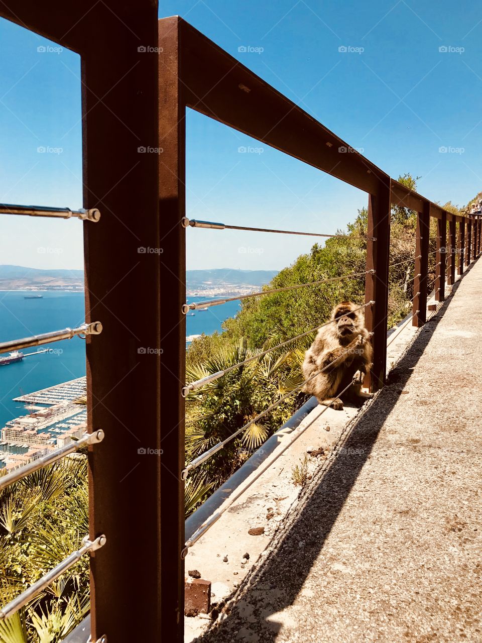 Gibraltar was awesome, beautiful blue sky with the contrast of a rusty fence. And a little monkey