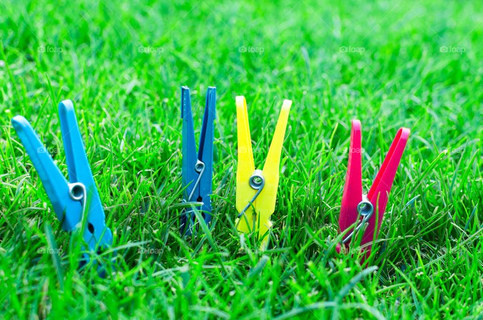 plugs on the lawn displaying beautiful atmosphere.