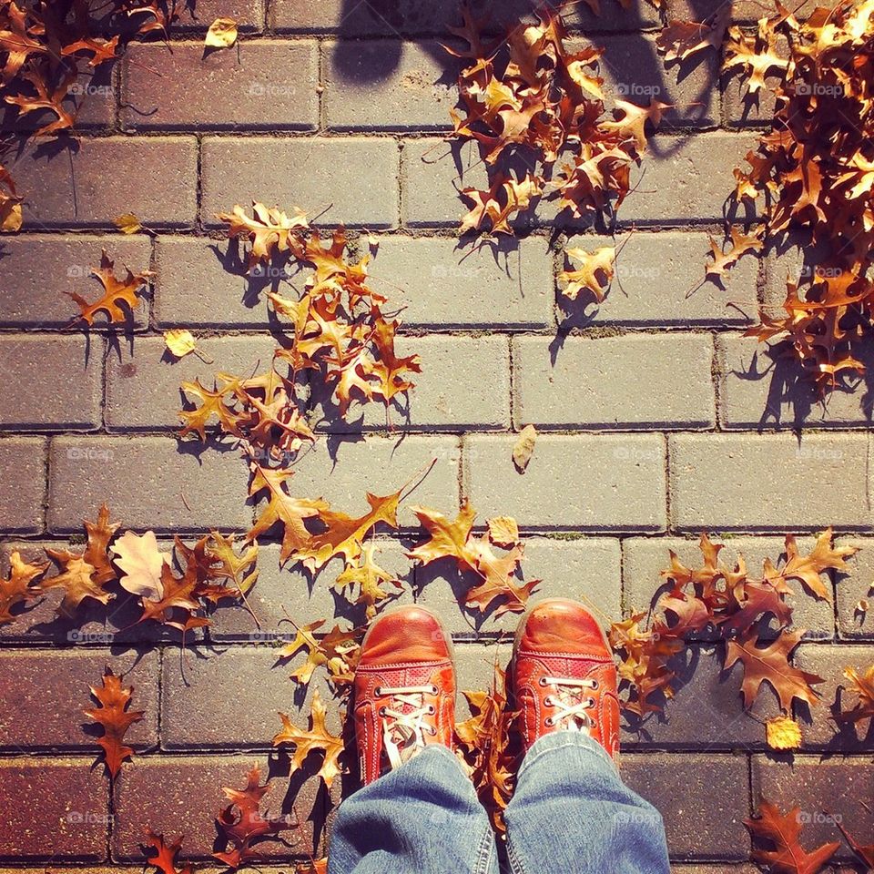 jeans pavement sidewalk leafs by myshu