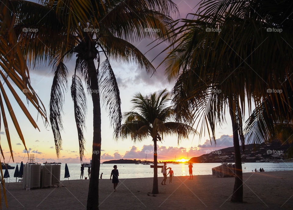 Sunset on the palm beach. 