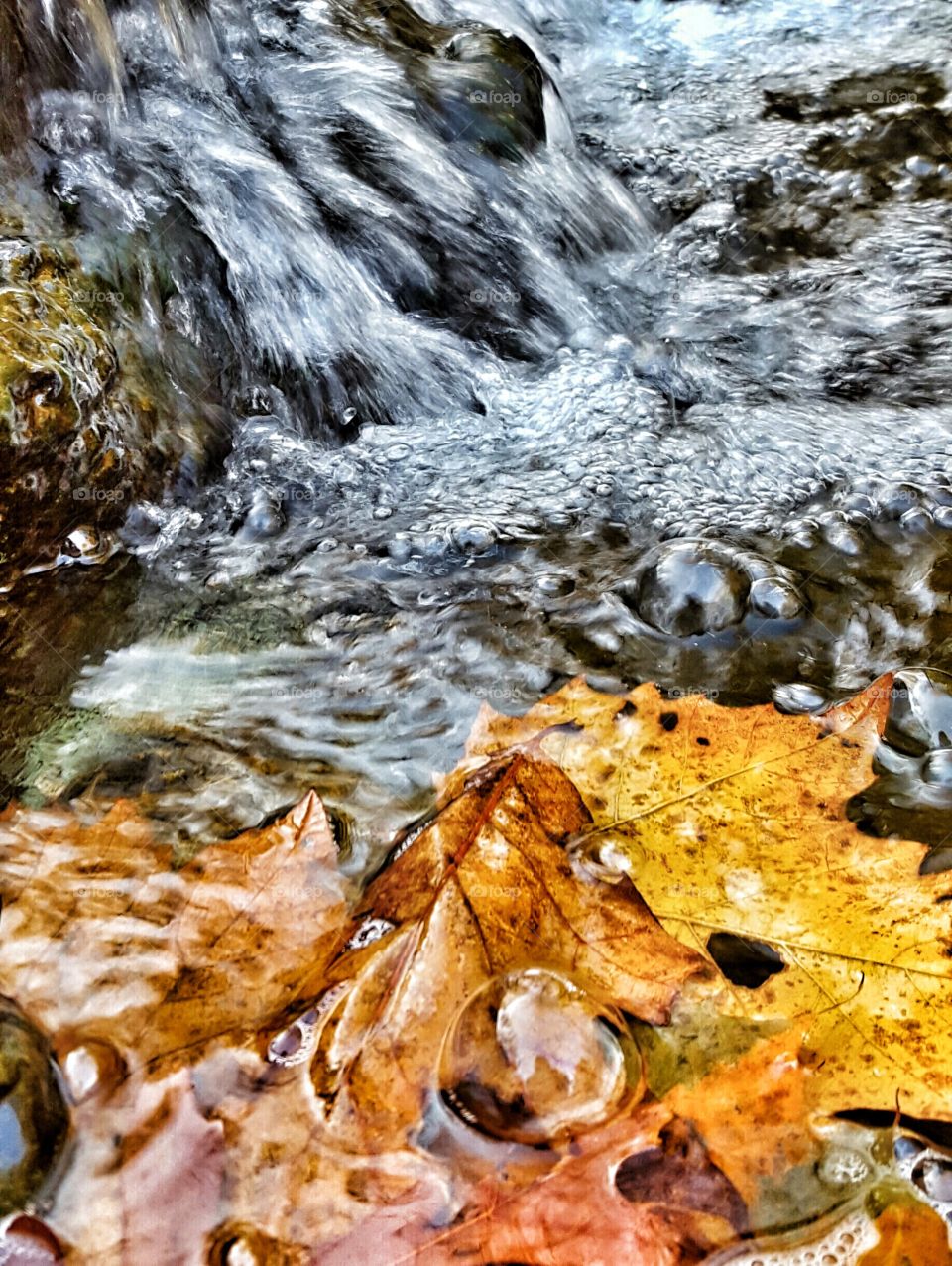 autumn waterfall bubbles