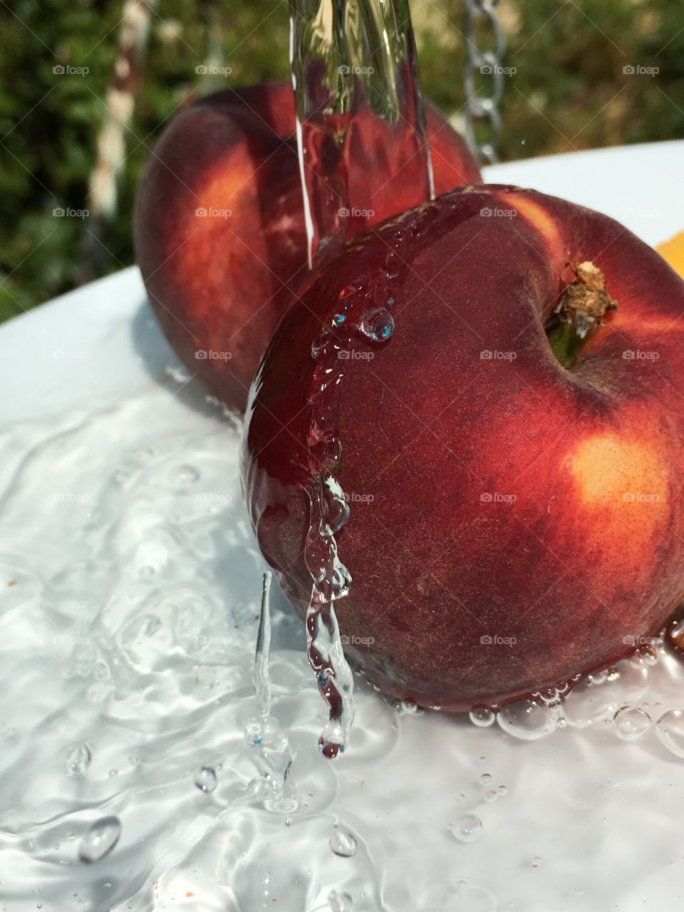 Fresh pure water washing over fresh picked organic nectarines 