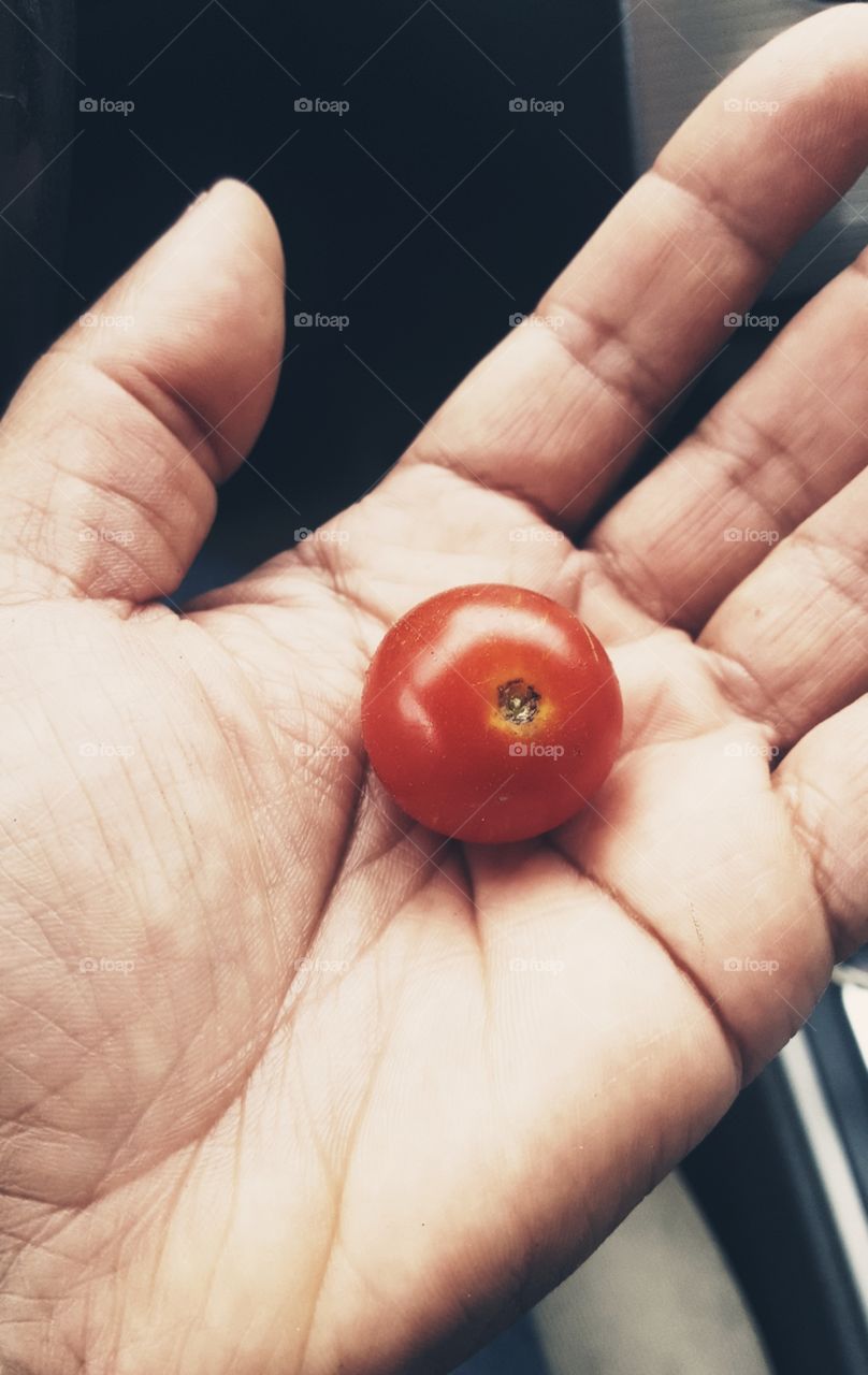 Cherry Tomato