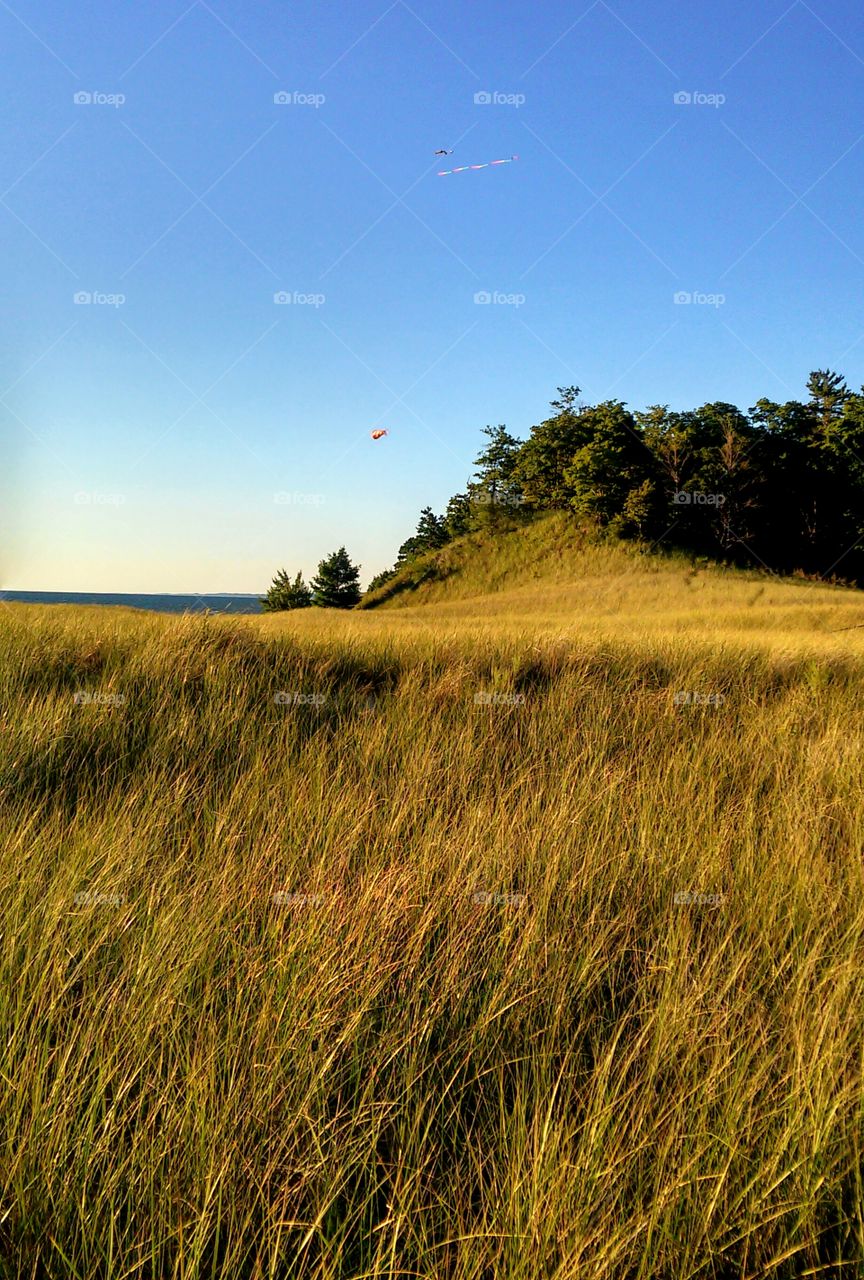 Kites in the distance.