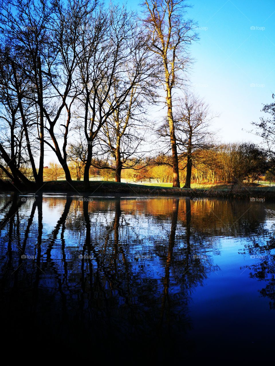 The Grove Canal