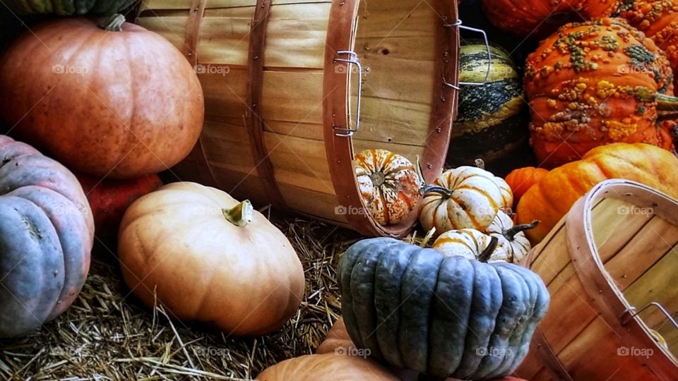 Colorful Pumpkins with Baskets