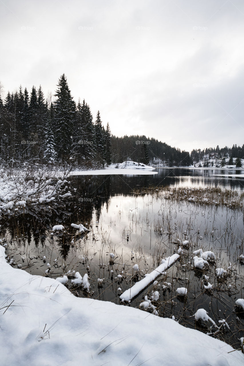 Winter Lake